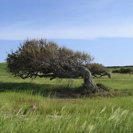 Domus Oriens - Monolocale Indipendente In 4* Portoscuso