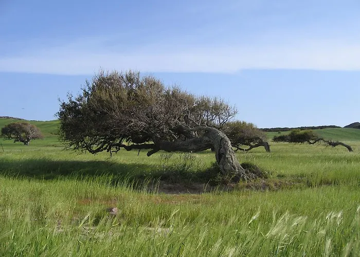 Domus Oriens - Monolocale Indipendente In 4* Портоскузо