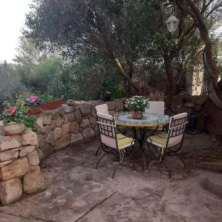 Domus Oriens - Monolocale Con Giardino, No Fornelli