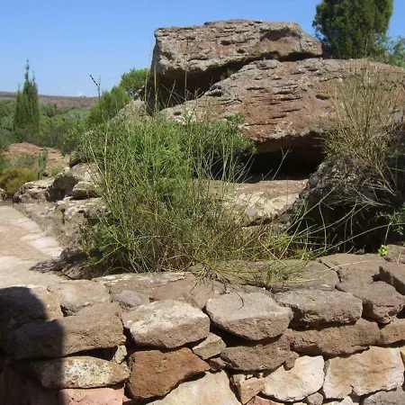 Domus Oriens - Monolocale Con Giardino, No Fornelli بيت ضيافة